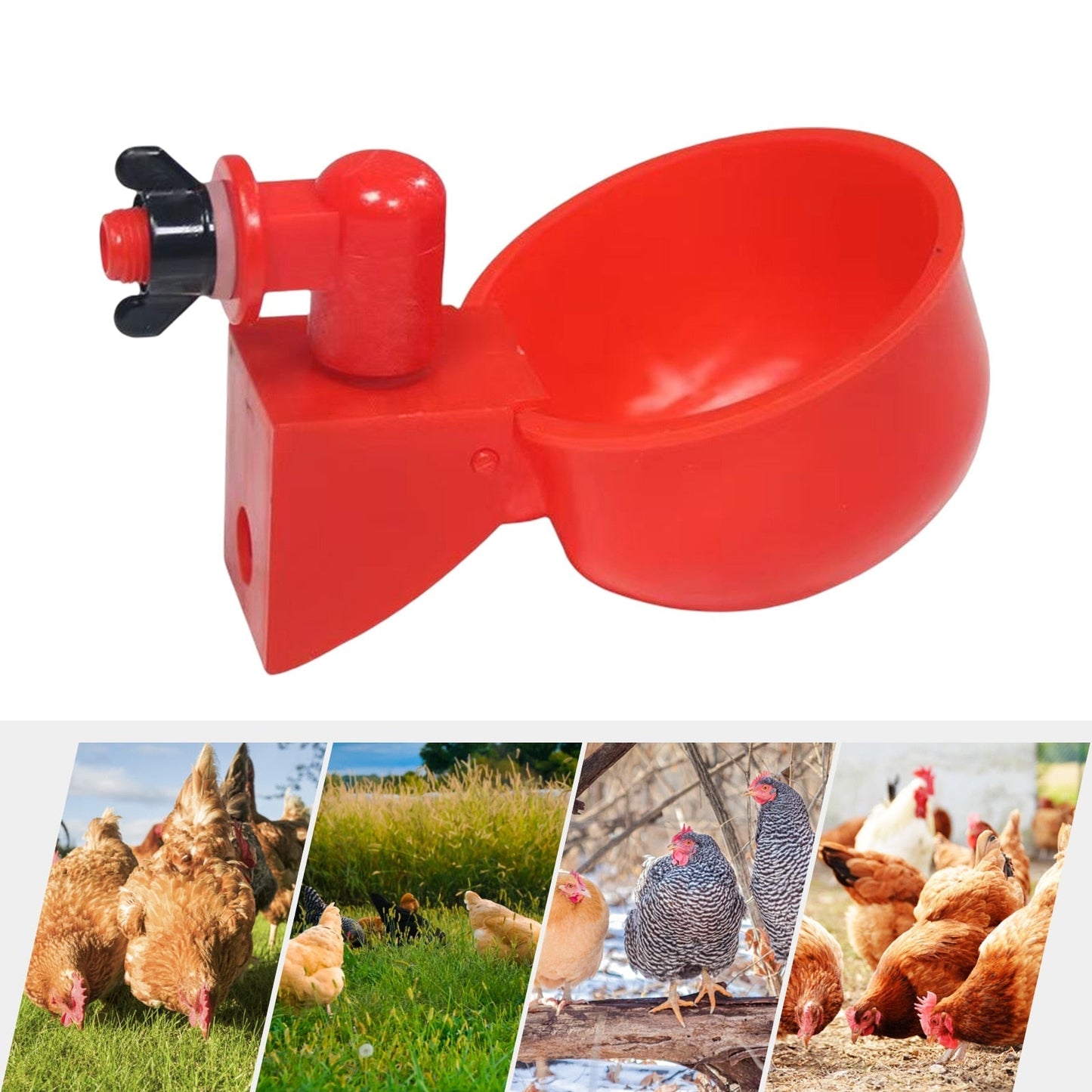 Automatic Poultry Drinking Bowl