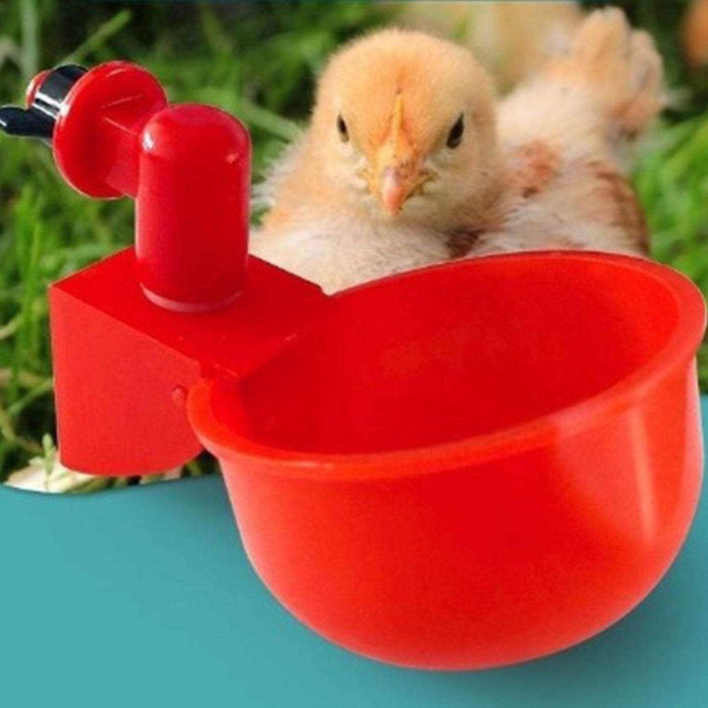 Automatic Poultry Drinking Bowl