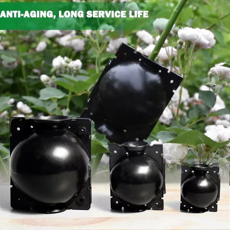 Plant Root Growing Box